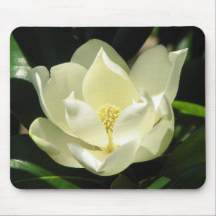 Mousepad Flor da magnólia