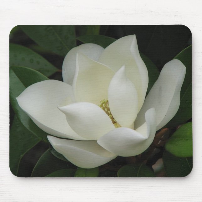 Mousepad Flor da magnólia (Frente)