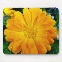 Mousepad flor da margarida amarela gerbera