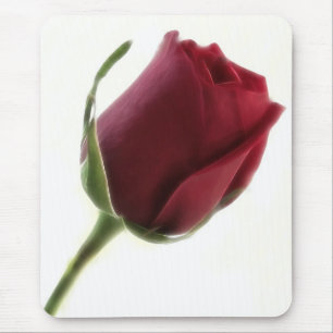 Mousepad Flor da rosa vermelha no branco
