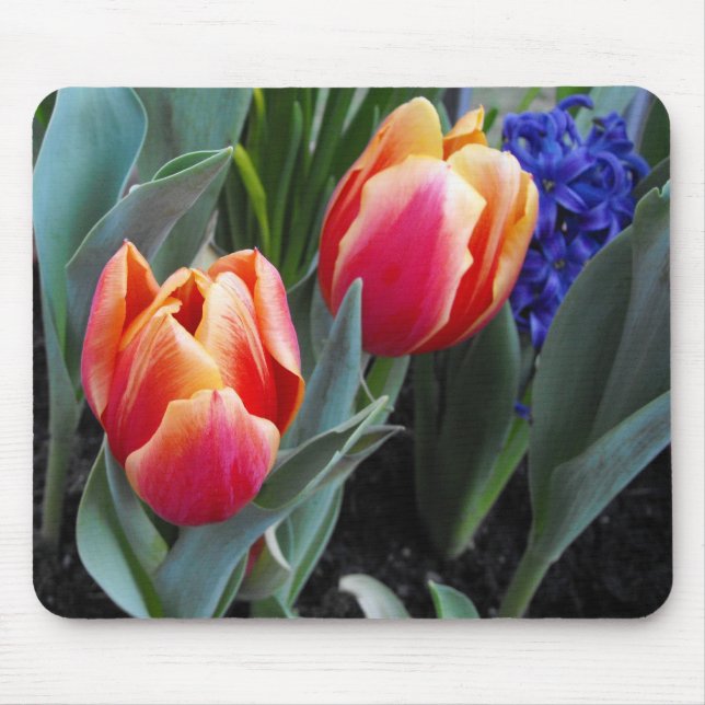 Mousepad Flor da Tulipa-Um do amor (Frente)