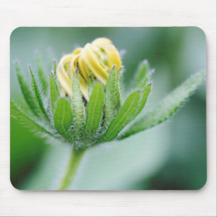 Mousepad Flor De Abertura Da Flor Cone