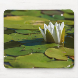 Mousepad Flor de água