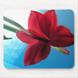 Mousepad Flor de Amaryllis vermelho vívido