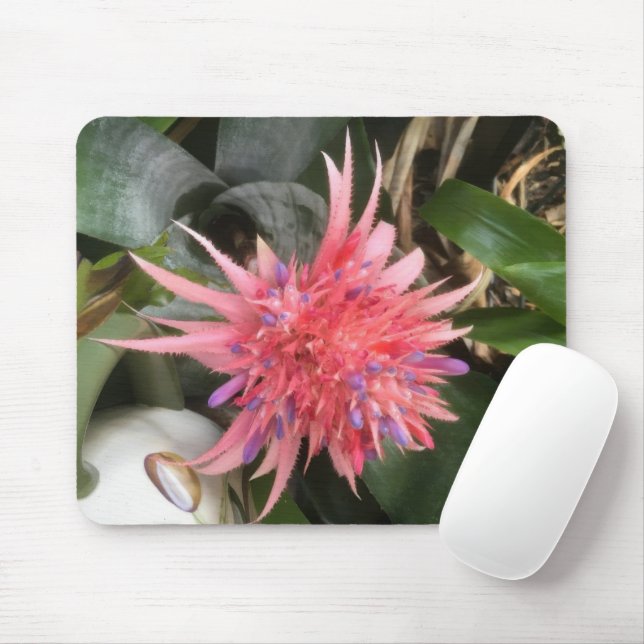 Mousepad Flor de Bromelia (Com mouse)