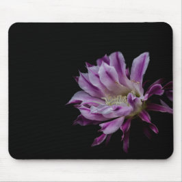 Mousepad Flor de cacto roxo e branco