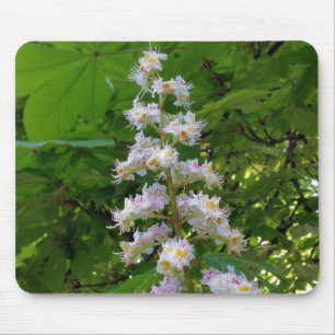 Mousepad flor de castanha