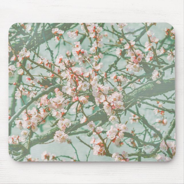 Mousepad Flor de cereja (Frente)