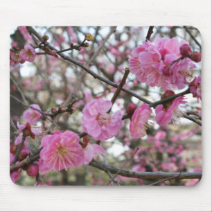 Mousepad Flor de cereja rosa / Sakura / サ ク ラ(桜)