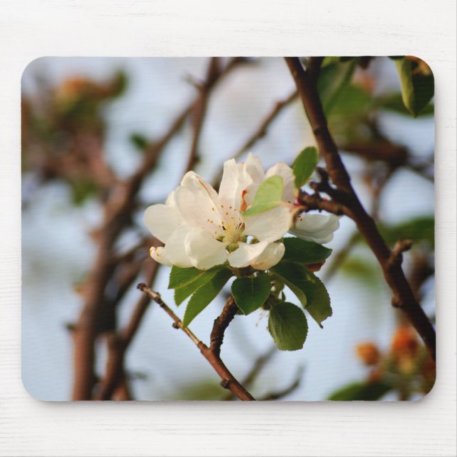 Mousepad Flor de Cerejeira (Frente)