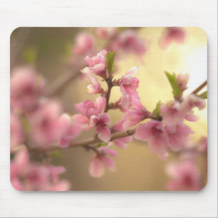 Mousepad Flor de Cerejeira