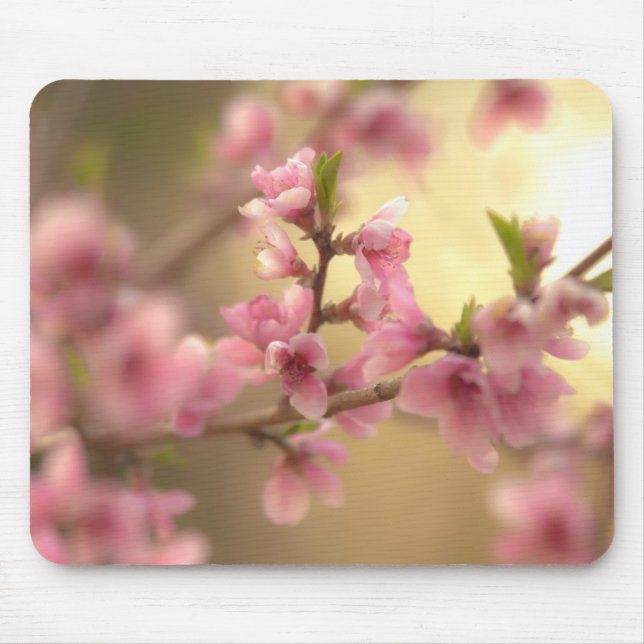 Mousepad Flor de Cerejeira (Frente)