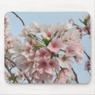 Mousepad Flor de cerejeira