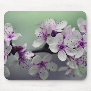 Mousepad Flor de cerejeira bonita