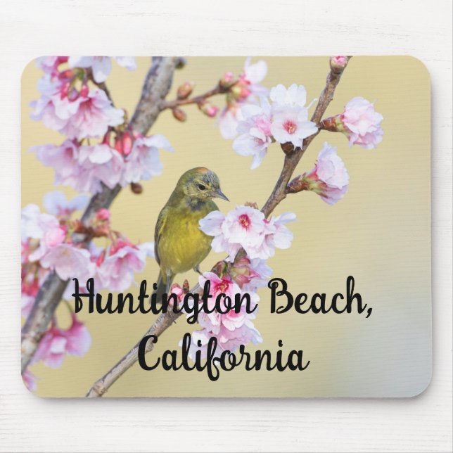 Mousepad Flor de Cerejeira e Pássaro Canoro, Huntington Bea (Frente)