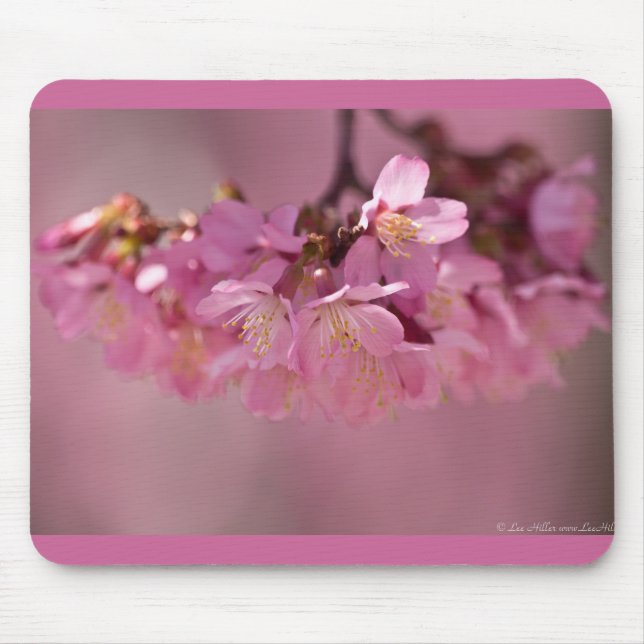 Mousepad Flor de Cerejeira Fonte Termal  2012 Roupas  & Pre (Frente)