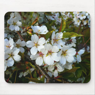 Mousepad Flor de cerejeira II