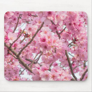 Mousepad Flor de Cerejeira Rosa