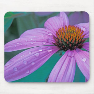 Mousepad flor de cone roxo com gotas de água