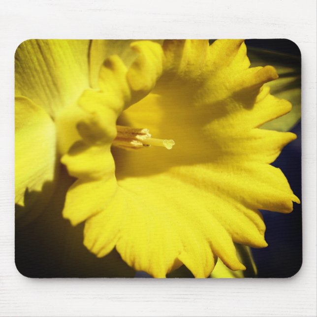 Mousepad Flor de Daffodilo Amarelo (Frente)