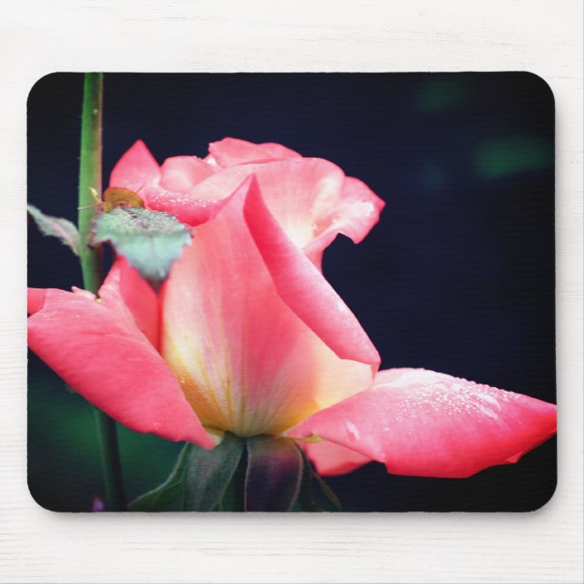 Mousepad Flor de Delícia do Rosebud Rosa (Frente)