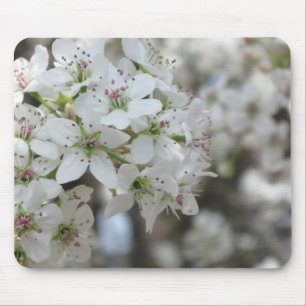 Mousepad Flor de florescência da árvore de pera