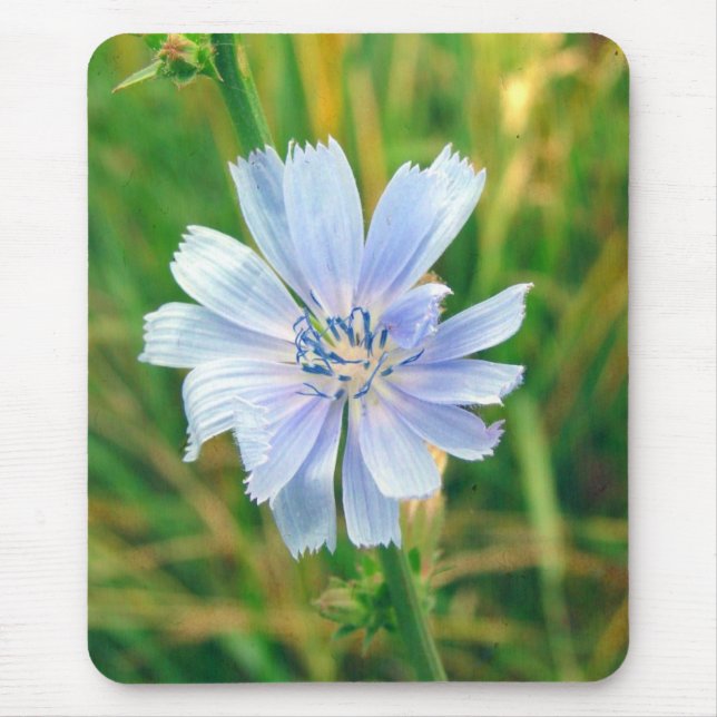 Mousepad Flor de Frango (Frente)