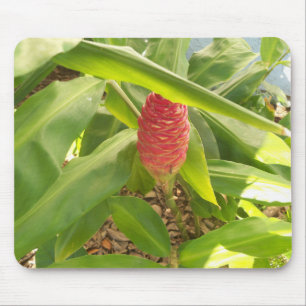Mousepad Flor de gengibre de Shampoo