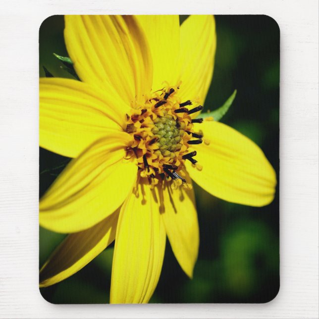 Mousepad Flor de Girassol Máximo (Frente)
