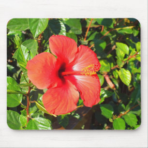 Mousepad Flor de hibisco