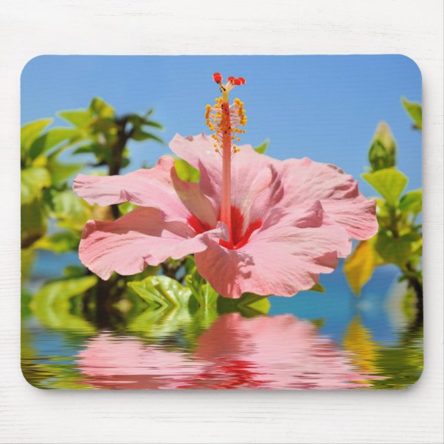 Mousepad Flor de hibisco rosa acima da água (Frente)