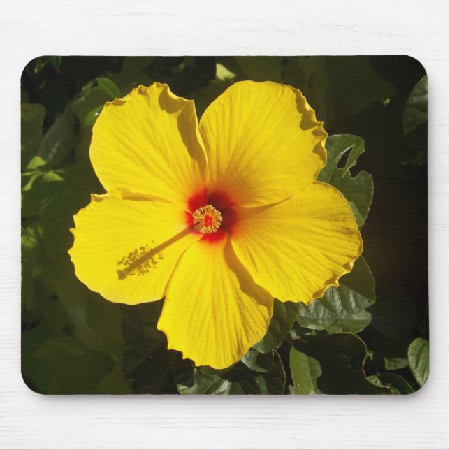 Mousepad Flor de Hibiscus Amarelo (Frente)