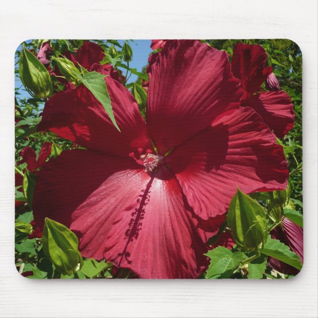 Mousepad Flor de Hibiscus e Céu Azul (Frente)