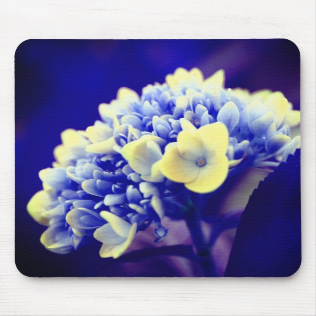 Mousepad Flor de Hydrangea Azul vívido (Frente)