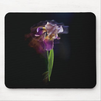 Mousepad Flor de íris em um fundo preto. Longa exposição.