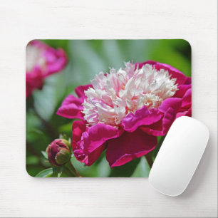 Mousepad Flor de Jardim Botânico de Casca Rosa