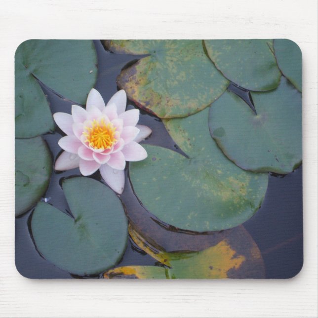 Mousepad Flor de Lotus (Frente)