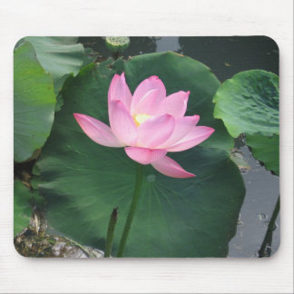 Mousepad Flor de Lotus