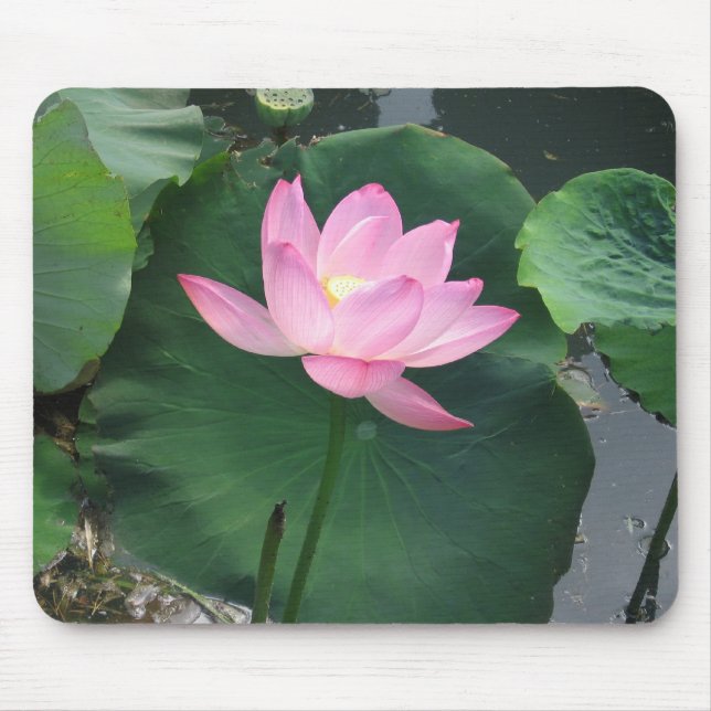 Mousepad Flor de Lotus (Frente)