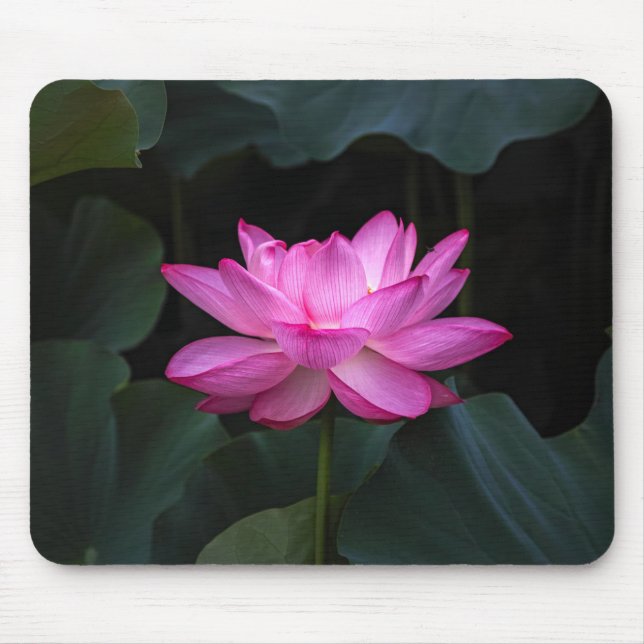 Mousepad Flor de Lotus (Frente)
