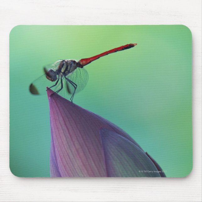 Mousepad Flor de lótus e libélula (Frente)