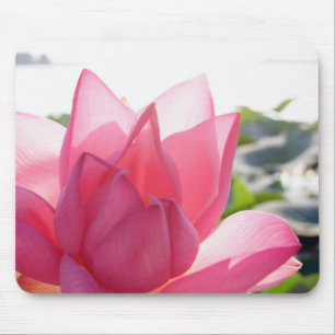 Mousepad flor de lótus [Nelumbo speciosum] em plena