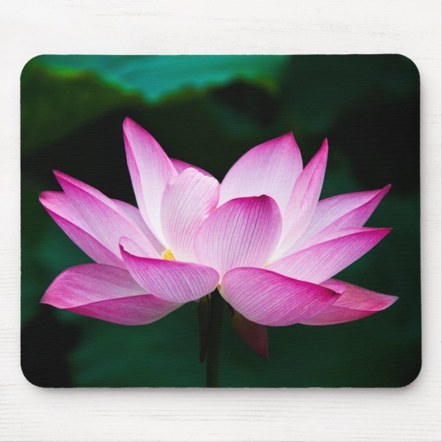 Mousepad Flor de Lotus Rosa (Frente)