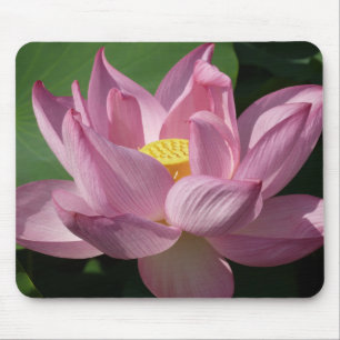 Mousepad Flor de Lotus Rosa IV