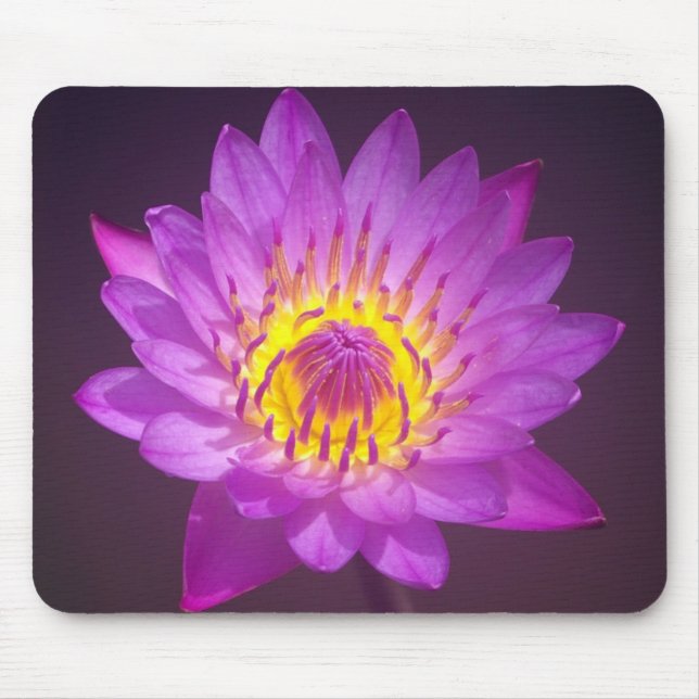 Mousepad Flor de Lotus roxa (Frente)
