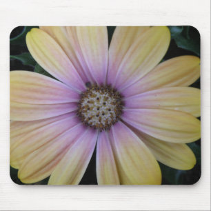 Mousepad Flor de margarida amarela e púrpura