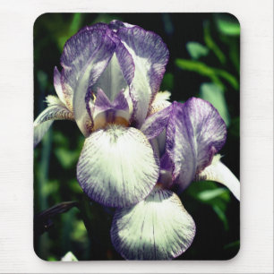 Mousepad Flor De Par Iris Com Carboreto