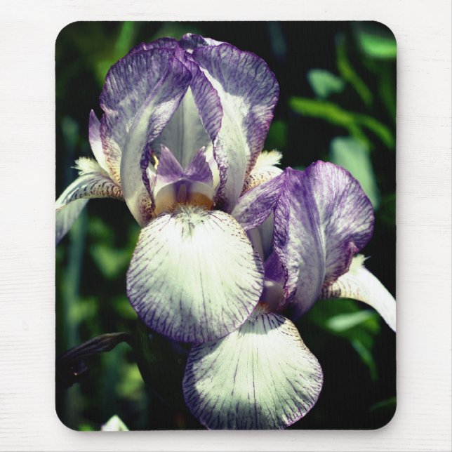 Mousepad Flor De Par Iris Com Carboreto (Frente)
