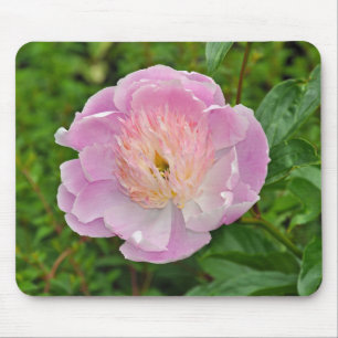 Mousepad Flor de pedônia rosa