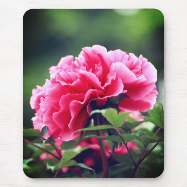 Mousepad Flor de Peônia Rosa no Jardim-33333 (Frente)